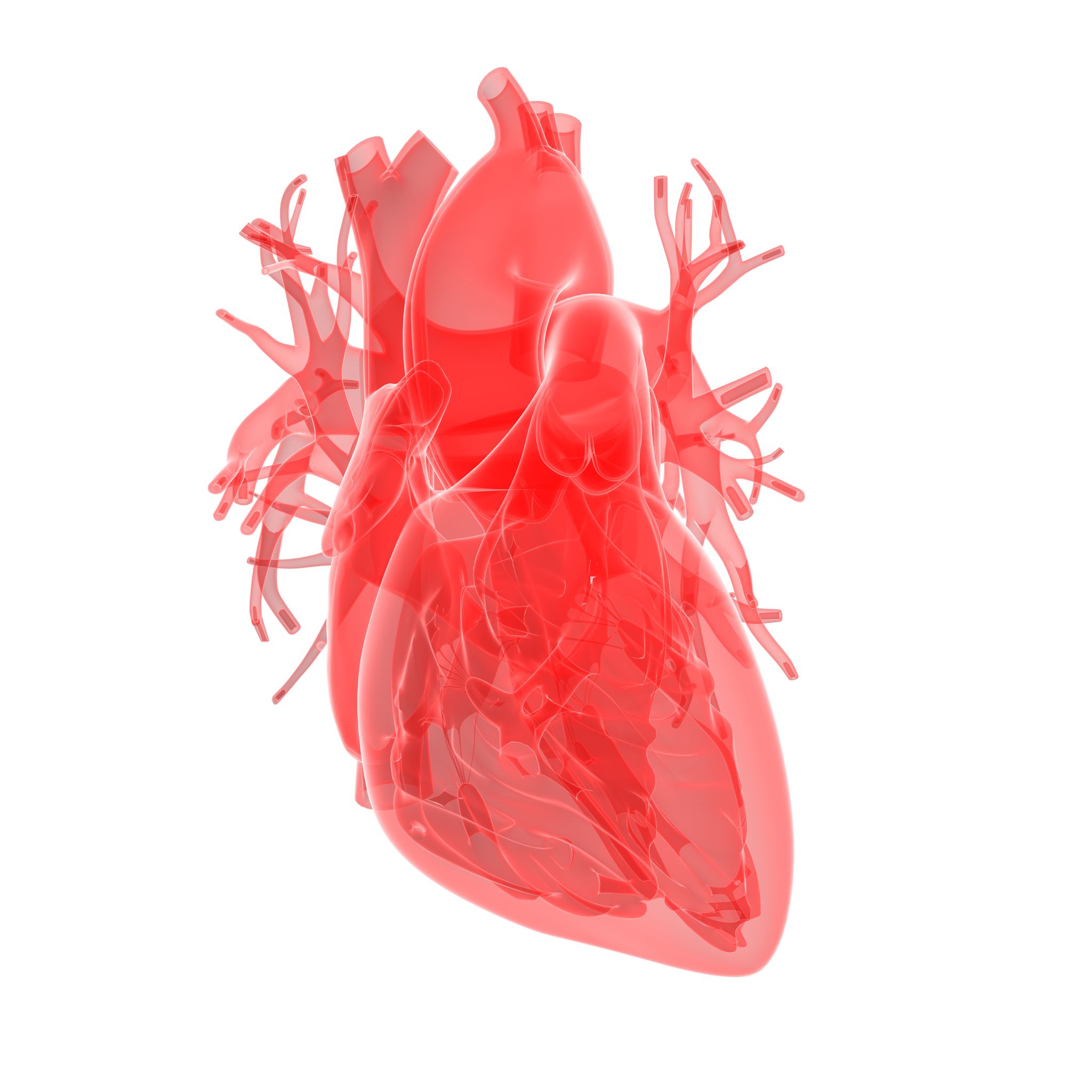 Gp Medical Center Westend Hausarztliche Und Innere Medizin Im Herzen Frankfurts